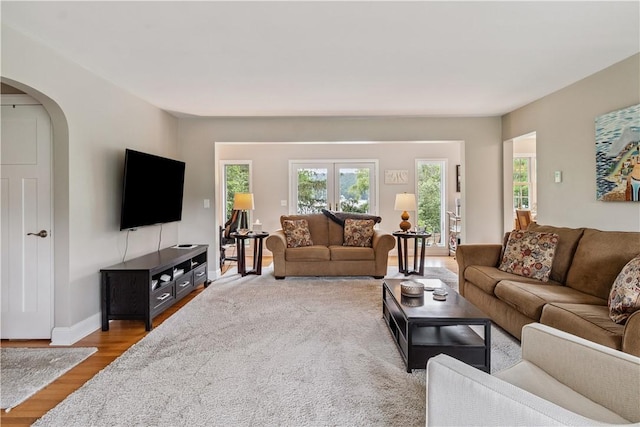82 Rt 54 E Lake Rd, Milo, NY 14527 - living room with healthy amount of natural light, wood finished floors, and arched walkways