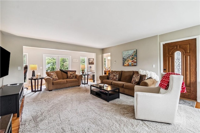 82 Rt 54 E Lake Rd, Milo, NY 14527 - living room with carpet floors