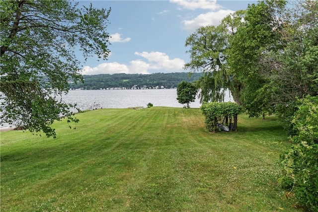 82 Rt 54 E Lake Rd, Milo, NY 14527 - view of grassy yard featuring a water view