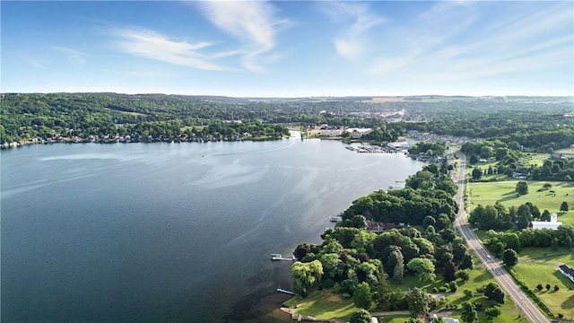 82 Rt 54 E Lake Rd, Milo, NY 14527 - view of property location featuring a nearby body of water and a heavily wooded area