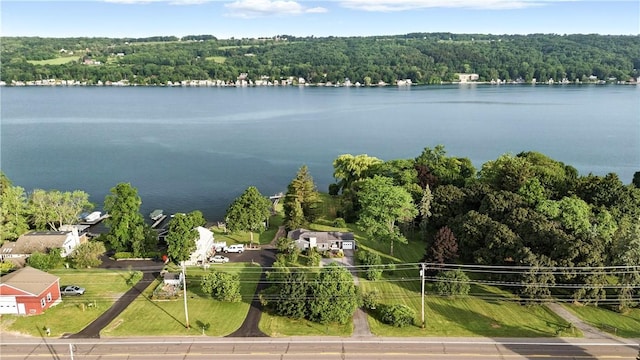 82 Rt 54 E Lake Rd, Milo, NY 14527 - aerial view of a nearby body of water and a forest