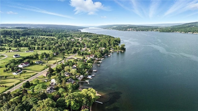 82 Rt 54 E Lake Rd, Milo, NY 14527 - aerial view of a large body of water and a heavily wooded area