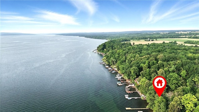 1677 Long Point Beach Rd, Torrey, NY 14527 - drone / aerial view of a large body of water