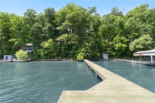 1677 Long Point Beach Rd, Torrey, NY 14527 - photo 38