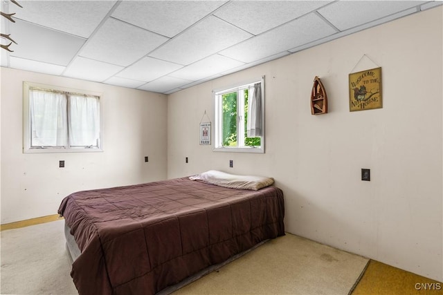 2497 E Rd, Leyden, NY 13309 - photo 19