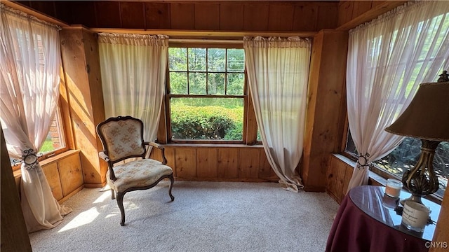 11 Brookline Dr, Utica, NY 13501 - sitting room featuring wooden walls and carpet