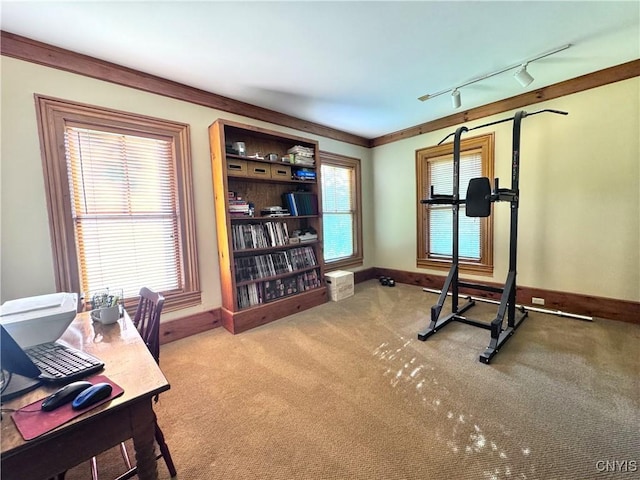 1765 W Rd, Oneida, NY 13421 - exercise room with carpet flooring, track lighting, and crown molding