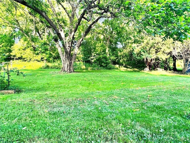 1765 W Rd, Oneida, NY 13421 - view of green lawn