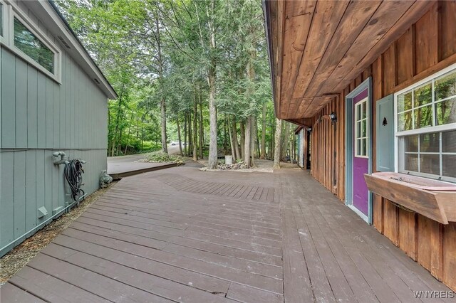 62 Deer Run, Concord, NY 14069 - photo 38