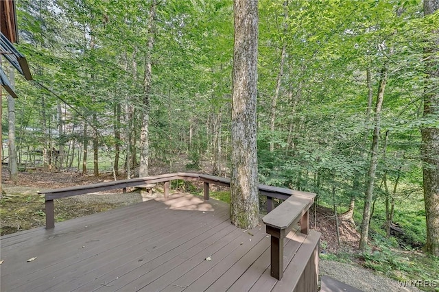 62 Deer Run, Concord, NY 14069 - photo 48