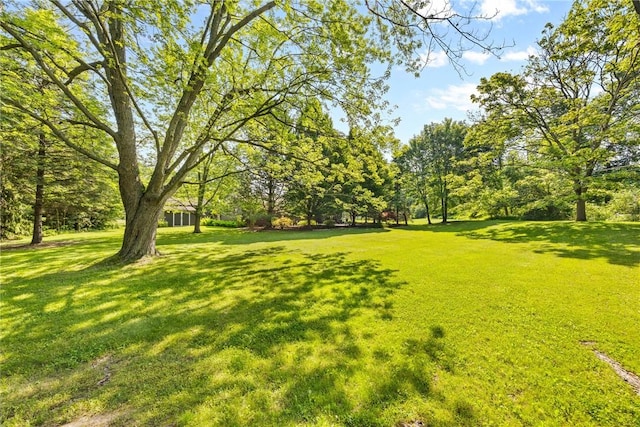 1077 Sharon Ct, Webster, NY 14580 - view of grassy yard
