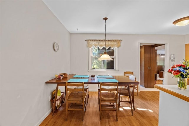 1077 Sharon Ct, Webster, NY 14580 - dining space featuring light wood-style floors