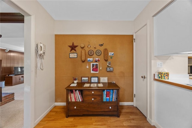 1077 Sharon Ct, Webster, NY 14580 - hall featuring light wood-type flooring