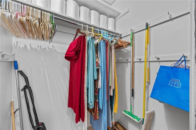1077 Sharon Ct, Webster, NY 14580 - view of spacious closet