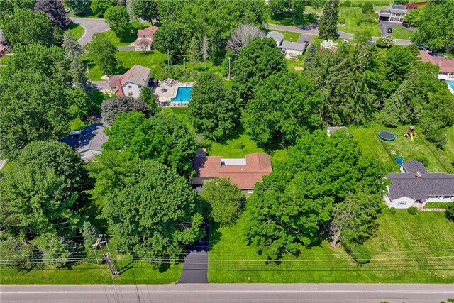 493 Holt Rd, Webster, NY 14580 - photo 5
