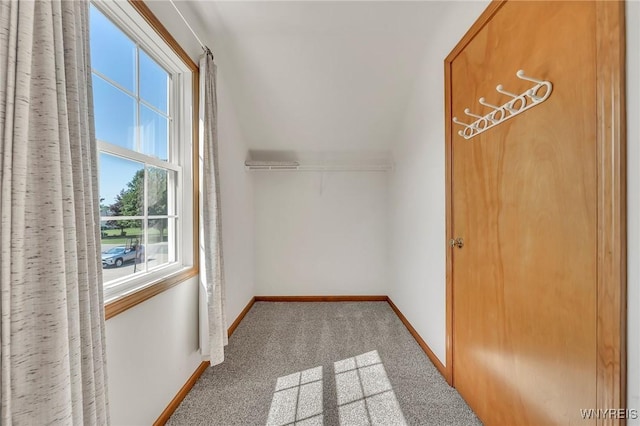 4584 Ridgeview Dr S, Pendleton, NY 14120 - additional living space with carpet flooring and lofted ceiling