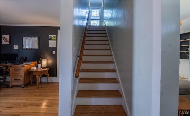 97 Oxford Rd, New Hartford, NY 13413 - photo 25