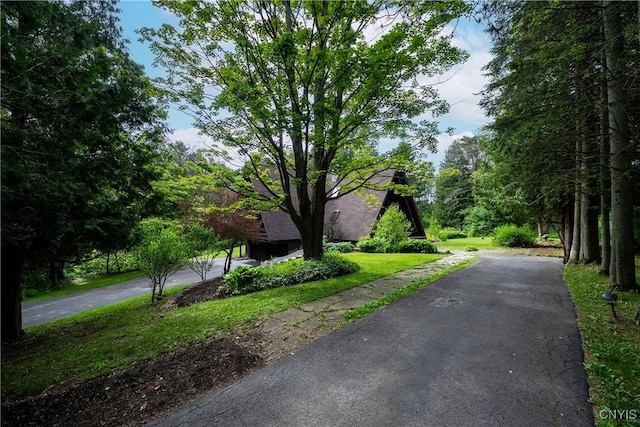 6139 Commane Rd, Lafayette, NY 13084 - view of asphalt driveway