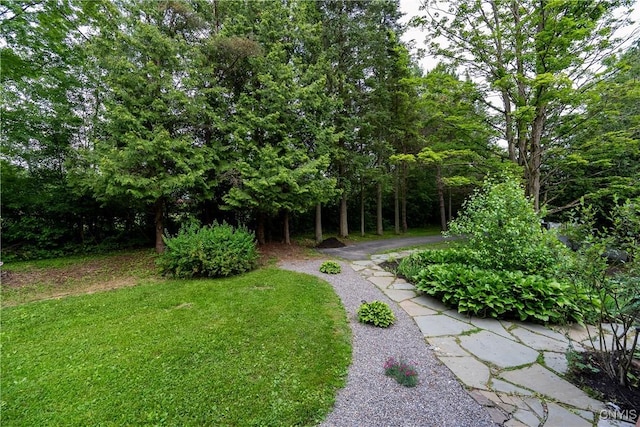 6139 Commane Rd, Lafayette, NY 13084 - view of green lawn