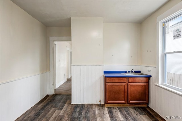 76 Chester St, Buffalo, NY 14208 - kitchen with wainscoting, dark wood-style flooring, brown cabinets, and wooden walls