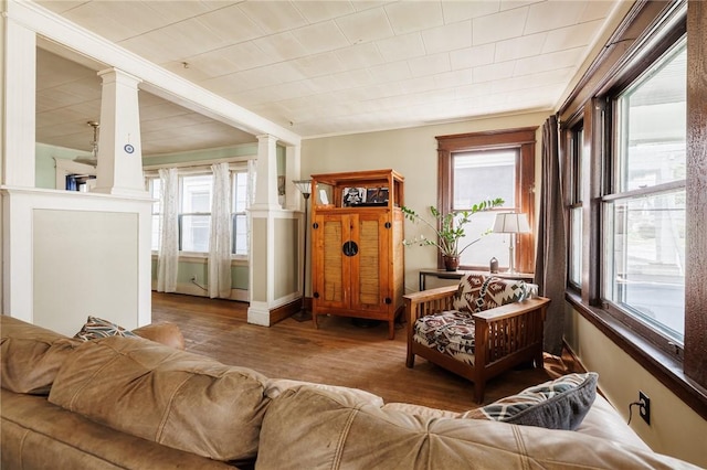 36.5 Austin St, Rochester, NY 14606 - living area featuring ornate columns, plenty of natural light, wood finished floors, and ornamental molding