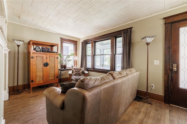 36.5 Austin St, Rochester, NY 14606 - living area featuring crown molding and hardwood / wood-style flooring