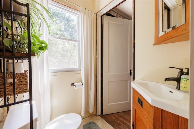 36.5 Austin St, Rochester, NY 14606 - bathroom featuring vanity, plenty of natural light, and wood finished floors