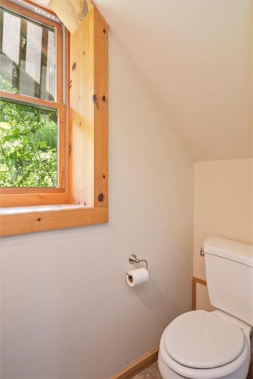 6094 State Route 21, South Bristol, NY 14512 - bathroom with toilet and lofted ceiling
