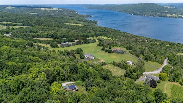 6094 State Route 21, South Bristol, NY 14512 - drone / aerial view of a nearby body of water and a forest