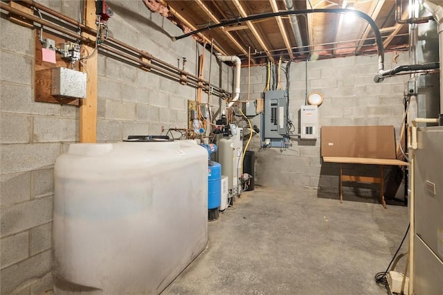 6094 State Route 21, South Bristol, NY 14512 - unfinished basement with heating fuel, concrete block wall, and electric panel