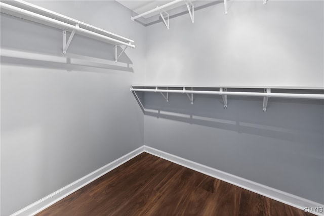 208 Single Dr, Clay, NY 13212 - walk in closet featuring dark wood-style floors