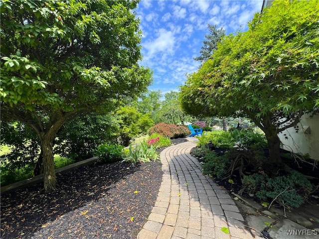 39 Wickendon Ct, Amherst, NY 14221 - view of yard