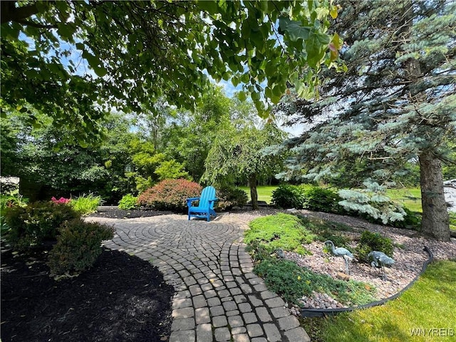 39 Wickendon Ct, Amherst, NY 14221 - view of yard featuring a patio