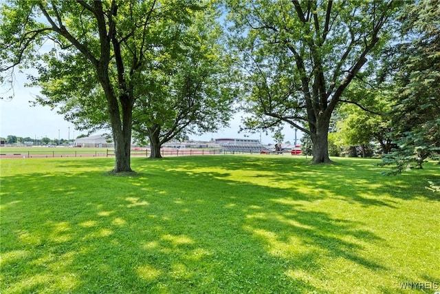 301 Pleasant View Dr, Lancaster, NY 14086 - view of yard