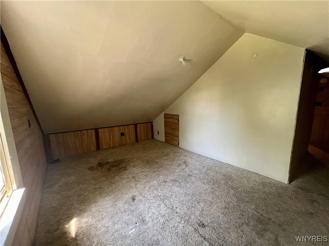 83 Andover Ave, Buffalo, NY 14215 - bonus room with vaulted ceiling, carpet, and wood walls