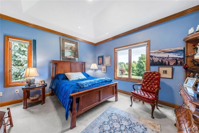 7 The Hamlet, Amherst, NY 14051 - bedroom featuring carpet and crown molding