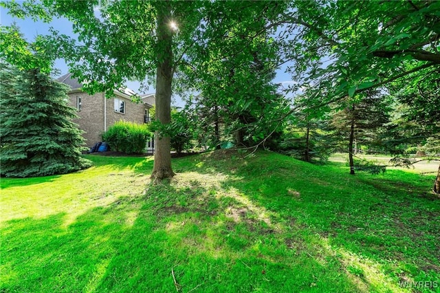 7 The Hamlet, Amherst, NY 14051 - view of green lawn