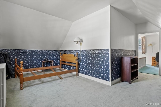 1419 Maple Rd, Amherst, NY 14221 - bonus room with lofted ceiling and carpet flooring