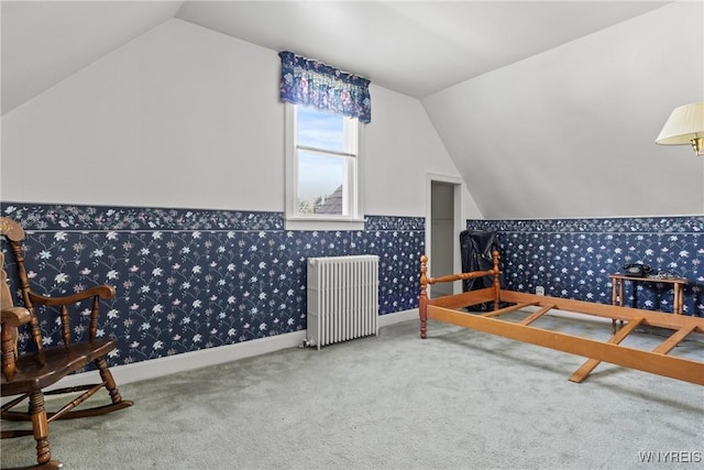 1419 Maple Rd, Amherst, NY 14221 - additional living space featuring radiator heating unit, vaulted ceiling, and carpet flooring