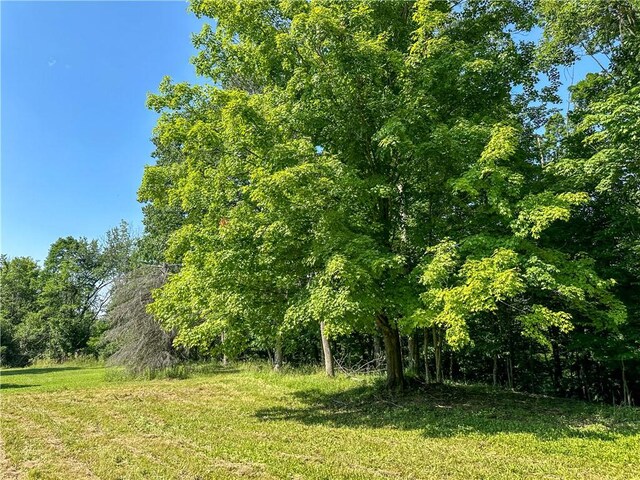 10734 Claybed Rd, Hume, NY 14735 - photo 42