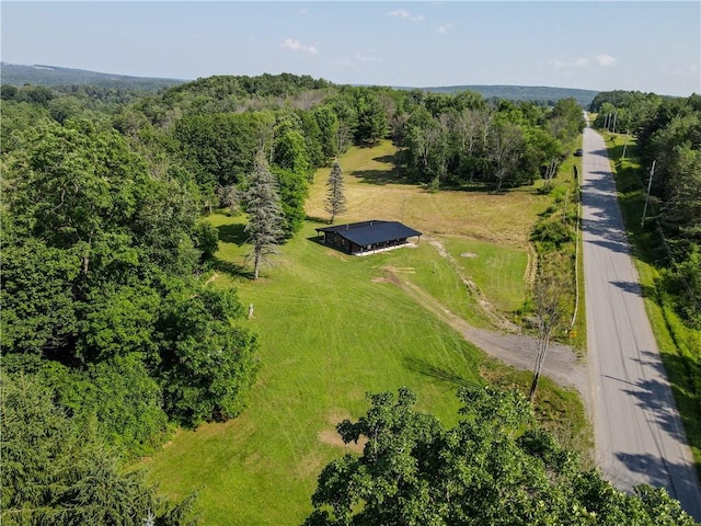 10734 Claybed Rd, Hume, NY 14735 - photo 46