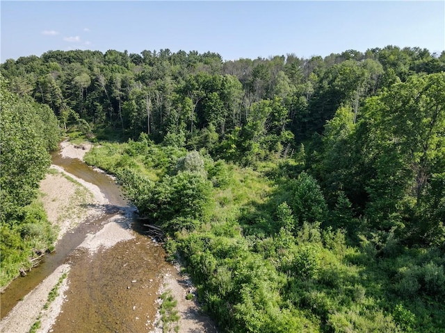 10734 Claybed Rd, Hume, NY 14735 - photo 11