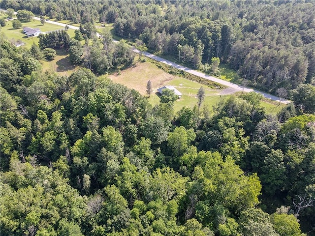 10734 Claybed Rd, Hume, NY 14735 - photo 12
