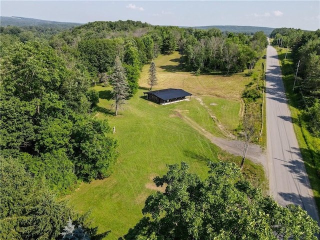10734 Claybed Rd, Hume, NY 14735 - photo 2