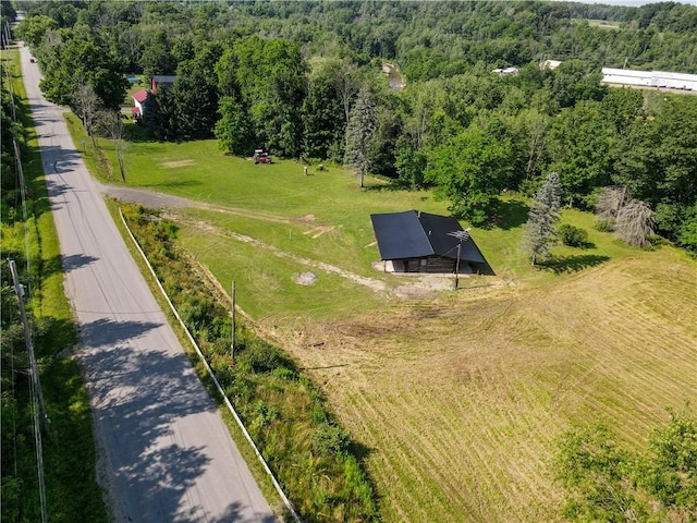 10734 Claybed Rd, Hume, NY 14735 - photo 8