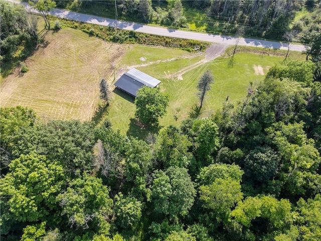 10734 Claybed Rd, Hume, NY 14735 - photo 9