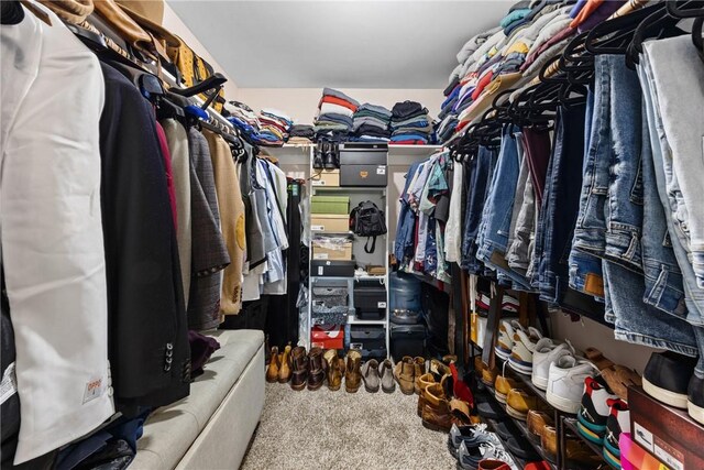 193 Orchard Creek Ln, Greece, NY 14612 - walk in closet featuring carpet floors