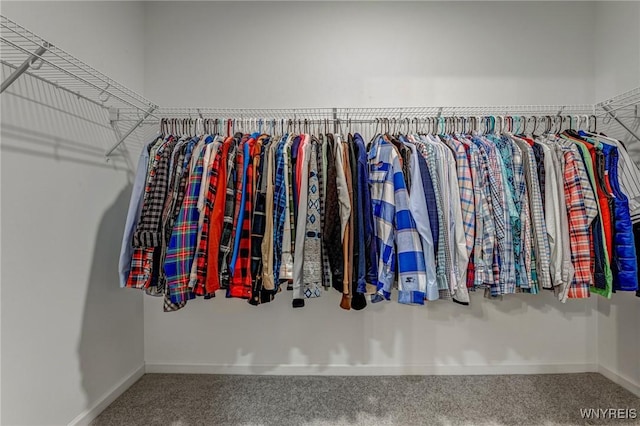 3398 Cedar Valley Way, Hamburg, NY 14075 - spacious closet with carpet