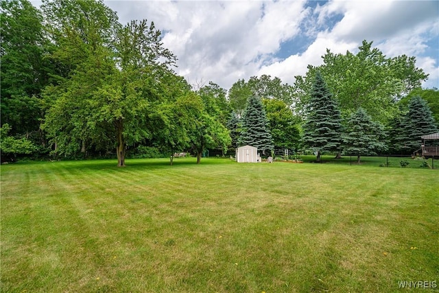 270 N French Rd, Amherst, NY 14228 - view of grassy yard featuring a storage shed