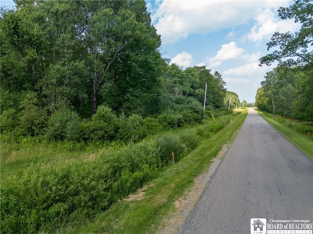00 Nutt Rd, Busti, NY 14701 - photo 5